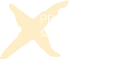 Logo Processx